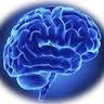 Neurocirugía Dr. Saúl Enríquez