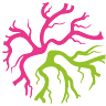 Neurosalvezza s.r.o. - neurologická ordinace