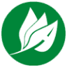 New Leaf Auto Finance Inc.