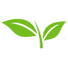 New Life Alliance Church