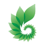 New Life Ayahuasca