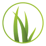 New Life Bilingual Church