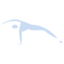New Strength Pilates