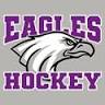 Sleepy Eye Arena Associates Inc