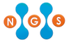 Nex Gen Services SA de CV
