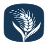 Nichol Trading