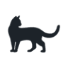 Nine Lives Cat Lounge & Adoption Center