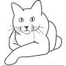 Cattery Niniko Star