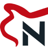 Nisa oto kaporta boya