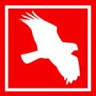 Rollins Insurance