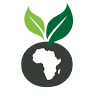 Noble African Market