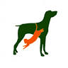 Noda Animal Hospital