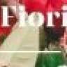 Non Solo Fiori