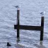 Nordsee Loft