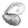 North Beacon Oyster