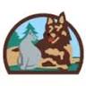 Northern Veterinary Associates