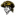 Illawarra Pirates Baseball Club