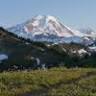 North Seattle Therapy & Counseling, PLLC