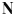 North Shore Japanese Language Education and Services