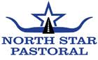 North Star Pastoral