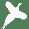 Northstream Outfitters