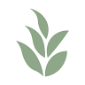 Herbalife Nourish Nutrition