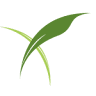 Novusag