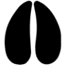 Nutrisource Inc.