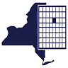 New York American College of Emergency Physicians