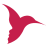 Nyman Associates Inc