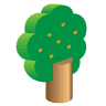 Oak Tree