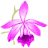 Dermatology Associates of Oakbrook Terrace