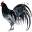 Oak Creek Organic Feed Grain and Chicks