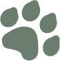 Oak Hill Animal Hospital