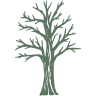 Oakridge Nursery & Landscaping
