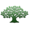 Oak Tree International Hold Inc