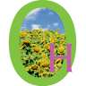 Oasis Homestead