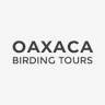 OAXACA BIRDING TOURS