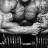 OBR-GYM