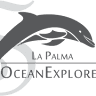 OceanExplorer Responsible & Educational Whale Watching