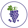 Odessa Wines and Spirits