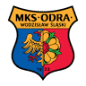 APN Odra Wodzisław Company o.o.