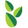 Centro de Referência Esportiva do Amazonas ( CRE Amazonas )