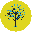 St. Hope Healthcare - Conroe
