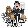 Pro-Rooter Plumbing & Drain Services