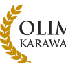 Olimp Karawany Samochody pogrzebowe Zabudowy do karawanów