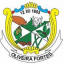 Câmara Municipal de Oliveira Fortes