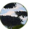 Olive Tree Caravan & Camping Park