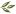 Olive Tree Traders
