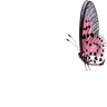 Ona Schoonheidssalon